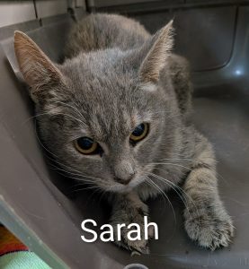 SARAH