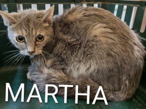 MARTHA