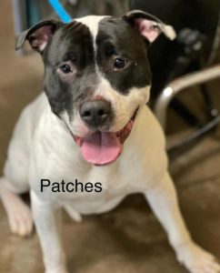 PATCH